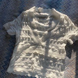 Zara V-Neck Crop Top